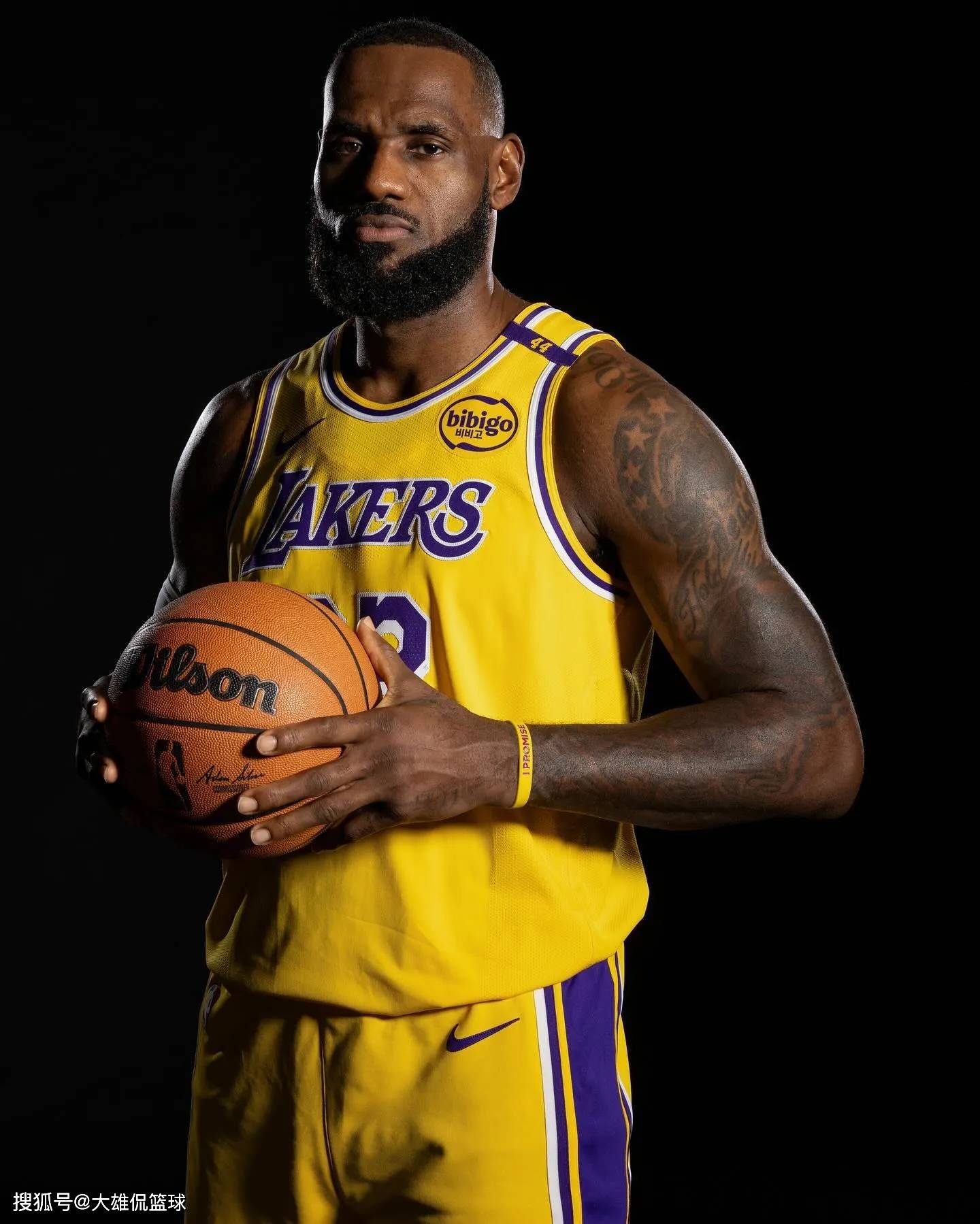 日本职棒：福冈软银鹰确认 2026 赛季将以 Moinelo 和 山川穗高为核心，旨在夺回日本一